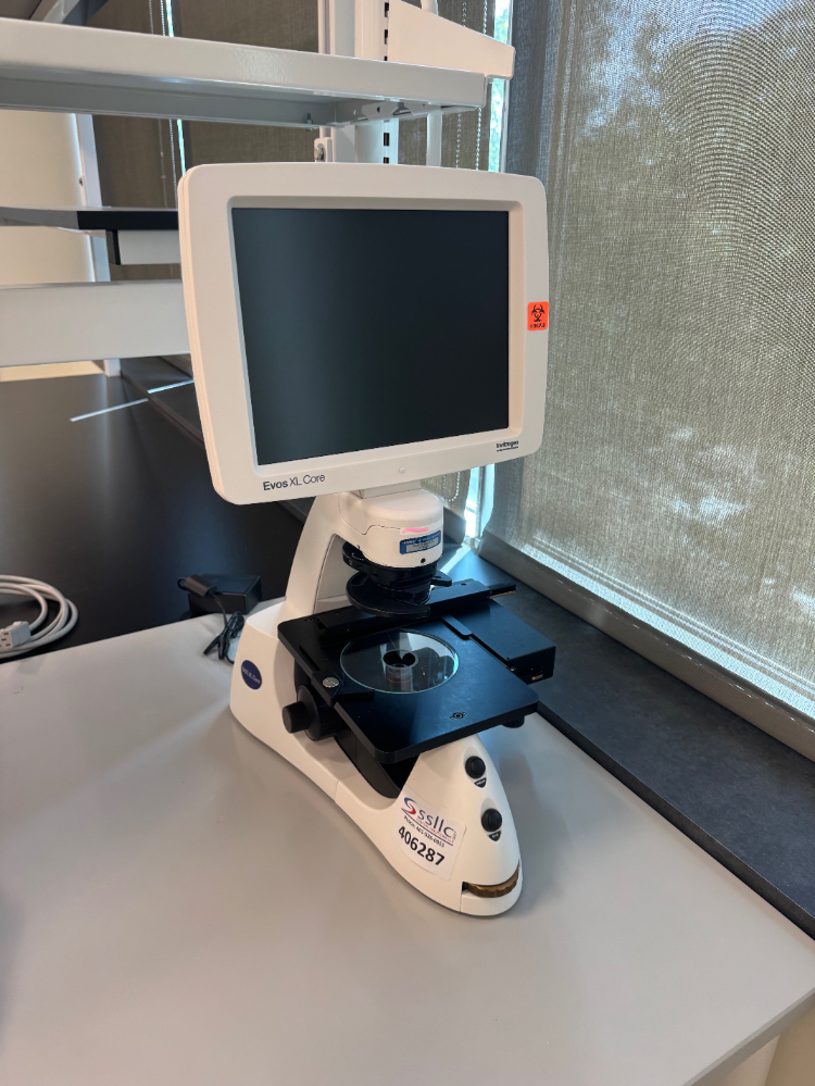 Image of Invitrogen Evos XL Core Cell Imager